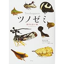 Amazon.co.jp: ツノゼミ ありえない虫 : 丸山宗利: 本